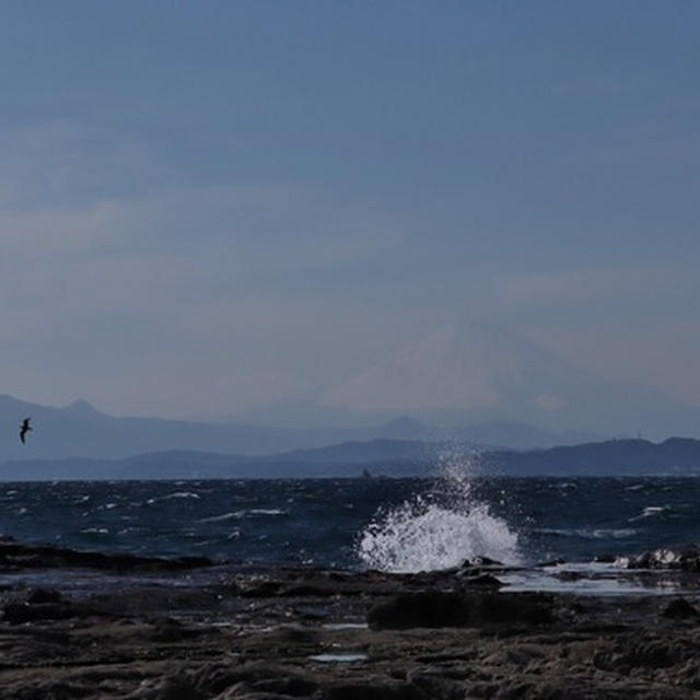 常立寺 & 江の島