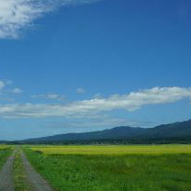 野生の”トキ”、佐渡ごはん２、佐渡土産。