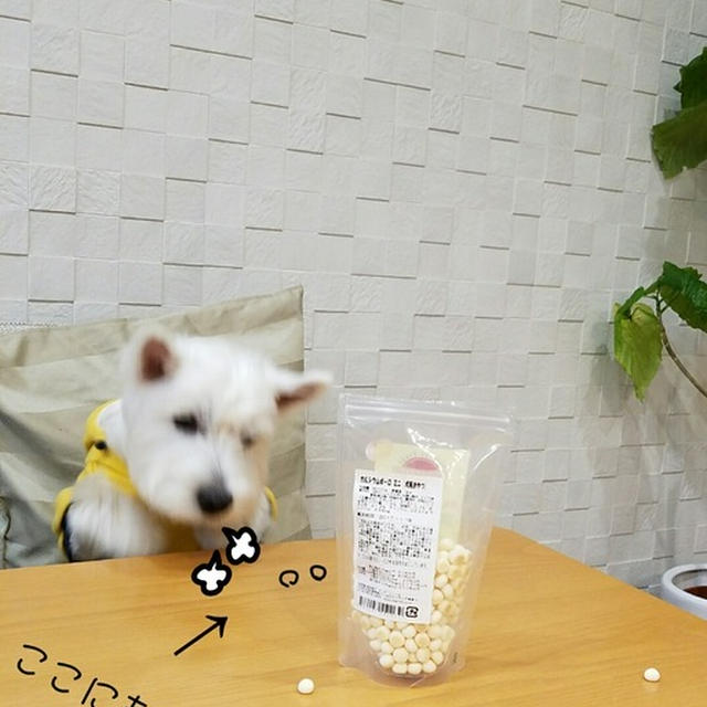 あ～～～
