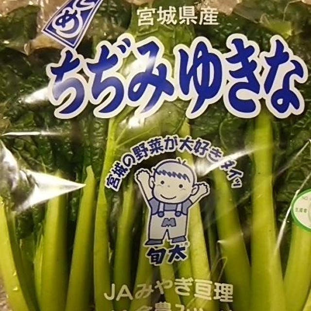 ゆき菜とエリンギのミルク煮