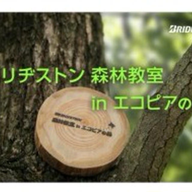 ブリヂストン　Ｂ・フォレスト エコピアの森の活動