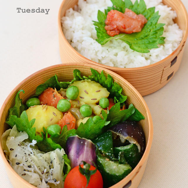 ７月１２日　火曜日　カレー肉じゃが