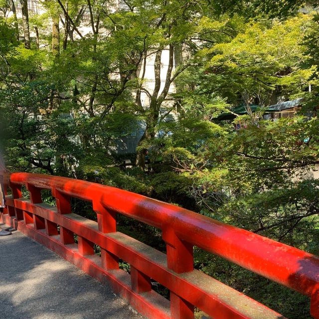 お祝い出来る事が幸せ。の、話。