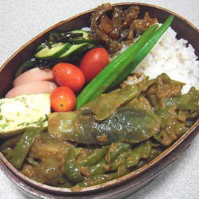 茄子のカレー煮込み弁当。ちょっとすねた表情のあんこ