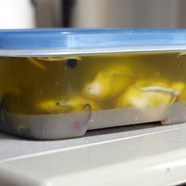 「牡蛎のオイル煮」と久々の「馬刺」