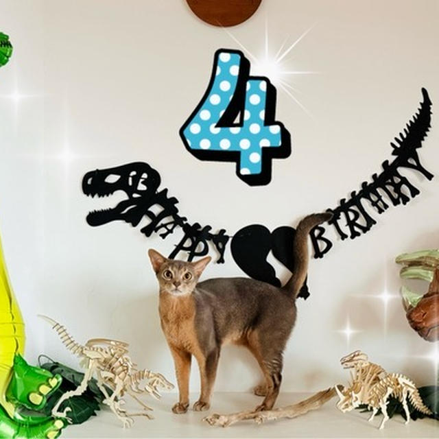 わか坊、４歳のお誕生日会♪