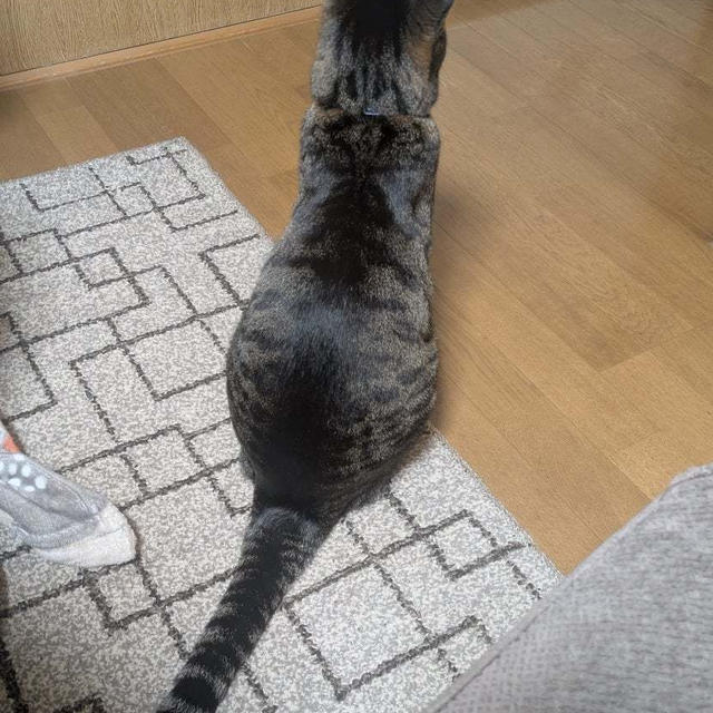 メロメロだにゃ～ん
