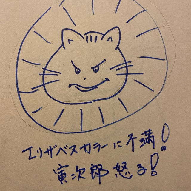 寅次郎....ふてくされ