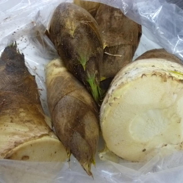 春の頂き物★