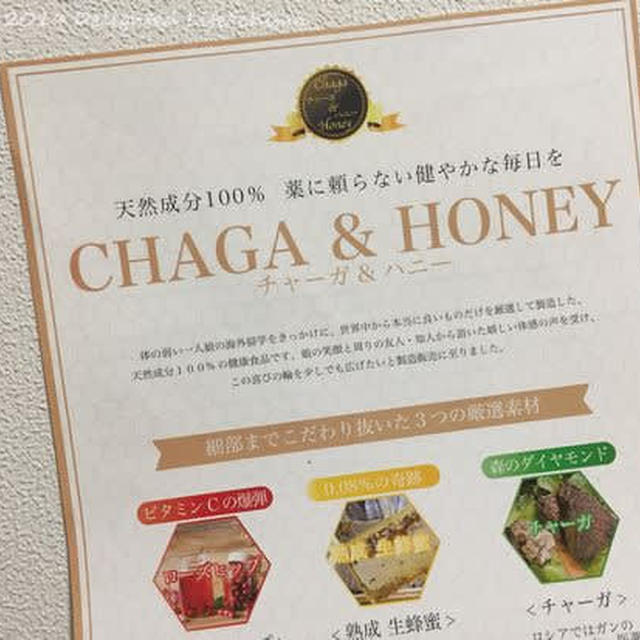 チャーガ＆ハニーの講習座談会
