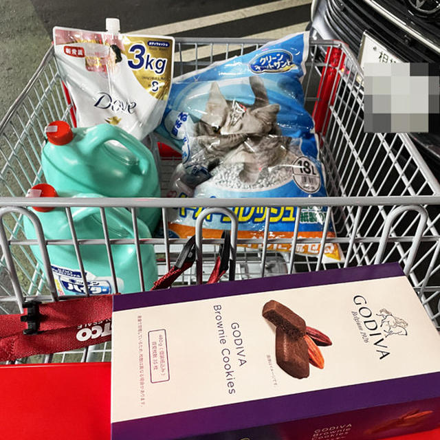 久しぶりにCOSTCO