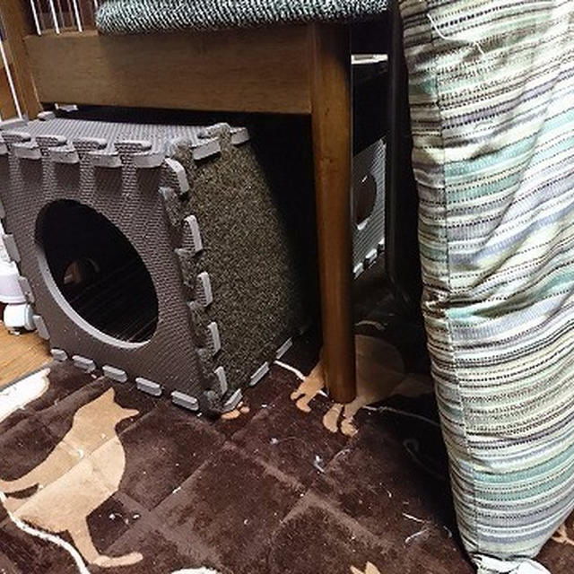 【小梅・さくら・桃之介通信】隠れ家