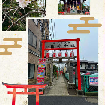 桜新町・久富稲荷神社～長い参道に沢山の鳥居と11月に開花の冬桜