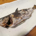 【旨魚料理】タカベの塩焼き