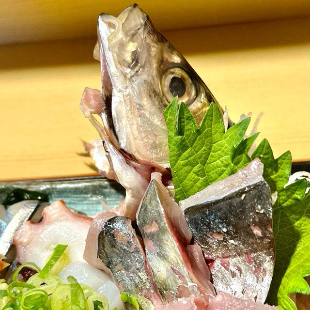 魚の松本　夜も刺身他魚の定食メニューが楽しめる　宝塚　小林エリアで人気の海鮮居酒屋　芦屋に系列店