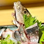 魚の松本　夜も刺身他魚の定食メニューが楽しめる　宝塚　小林エリアで人気の海鮮居酒屋　芦屋に系列店