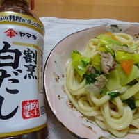 白だしだけで焼うどん