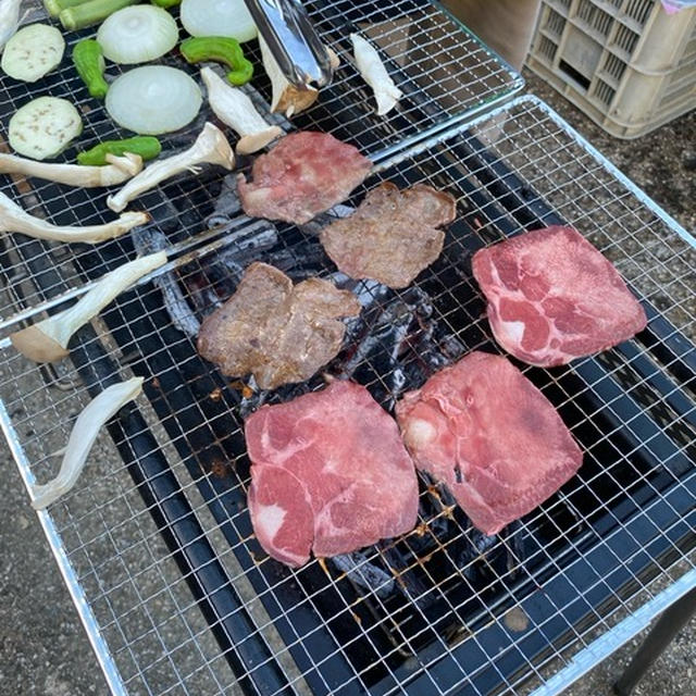 大人の夏休み
