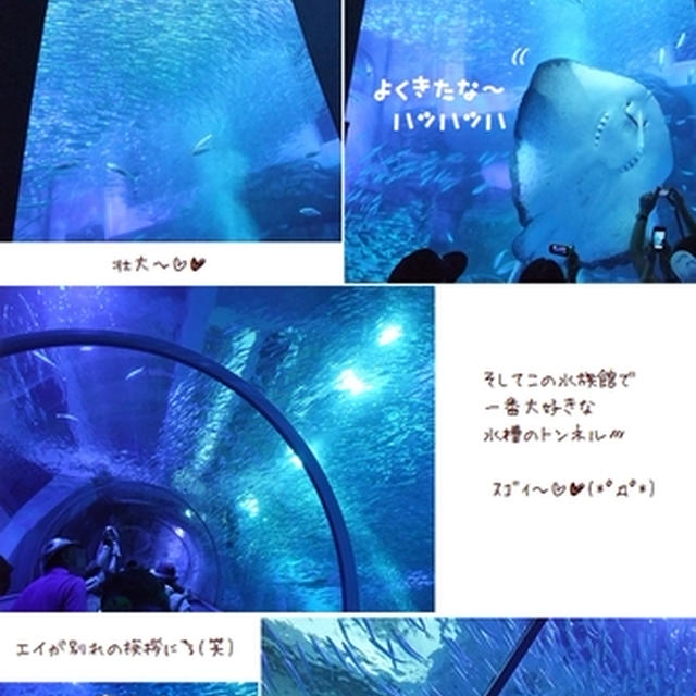 ■暑い夏に涼しさを感じたいなら…■