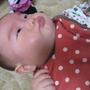 例の。。。ブーブー！