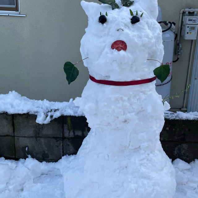 今年もよろしくお願いします。