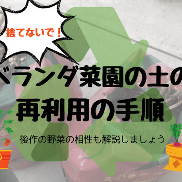 ベランダ菜園で使った土を捨ててはいけない。ミニトマトの土の再利用の手順と後作に適した野菜と根菜類を育てた例。