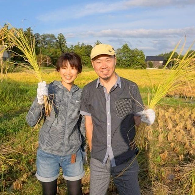 朱鷺と暮らす郷、佐渡へ（稲刈り編）＆米にあうおかず「蓮根の具だくさんきんぴら炒め」