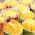 muffin♪