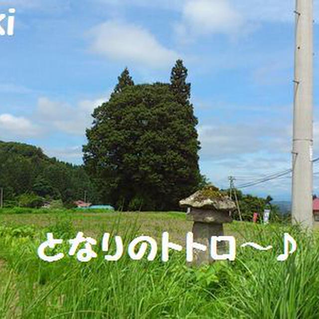 トトロの木とコンビニスイーツ♪