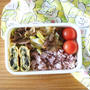 上からカメラで撮影｜あごだしてりたれを使って作る20分弁当