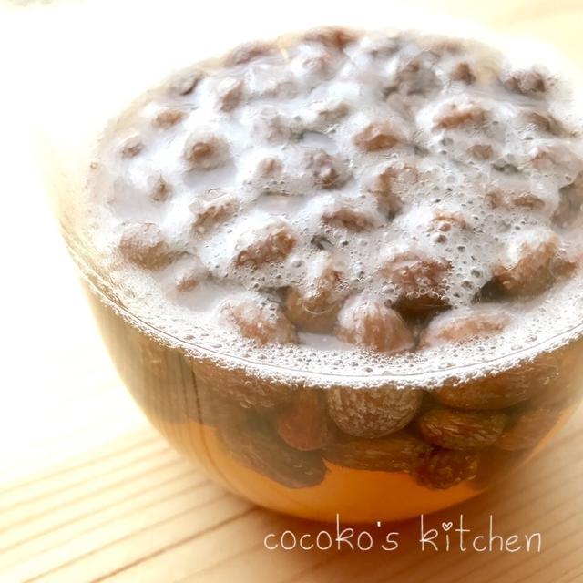 レーズン酵母 9日目。。