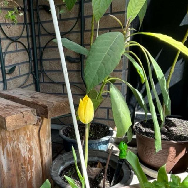 5.1 お出かけ日和 快晴❣️移動中ﾃﾞｽ。