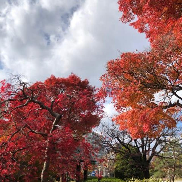 紅葉がさらに美しかったよ
