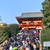 お正月3日目は活動的でした♪箱根駅伝を見て、鶴岡八幡宮へ初詣へ