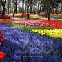 Wonderful World