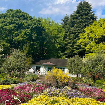 あの建物が解体！代々木公園散歩