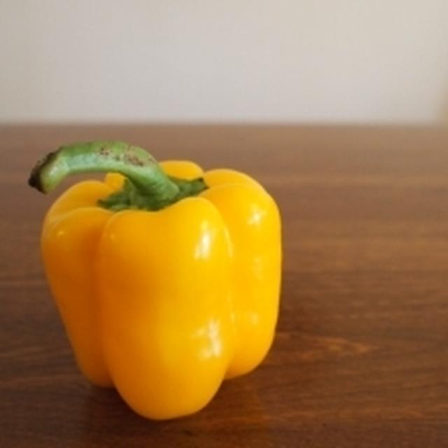 今日のご予定は？