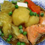 生じゃけと野菜のカレースープ