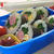 ラップで簡単♪菜の花のキンパ弁当