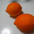 オレンジ色のレモン