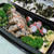 高校生男子弁当　＆　女子弁当　＆　晩御飯（タコ祭り2日目）