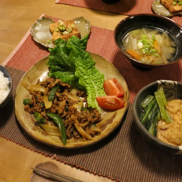 牛肉のスタミナ焼の晩ご飯　と　銅葉ヒマの実♪