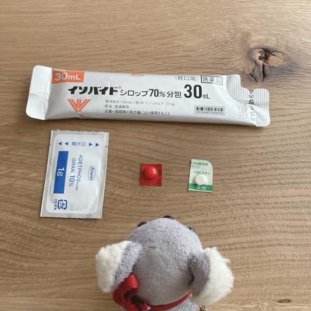 アニサキスライトを使ってみた件とか明日の大雨に向けての準備とか色々♡