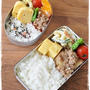【新じゃがのそぼろ煮弁当】
