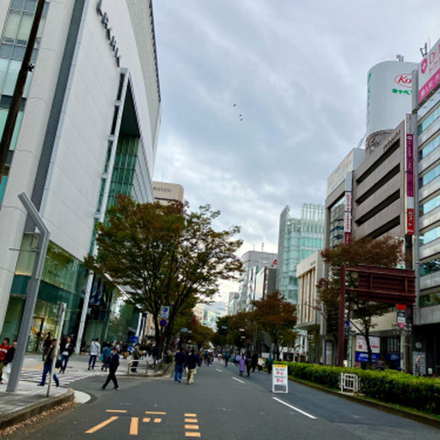 大津通り歩行者天国を散歩、と端正なレーズンパン