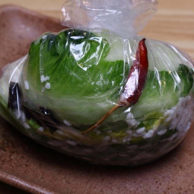 白菜仕込み中　他お知らせ