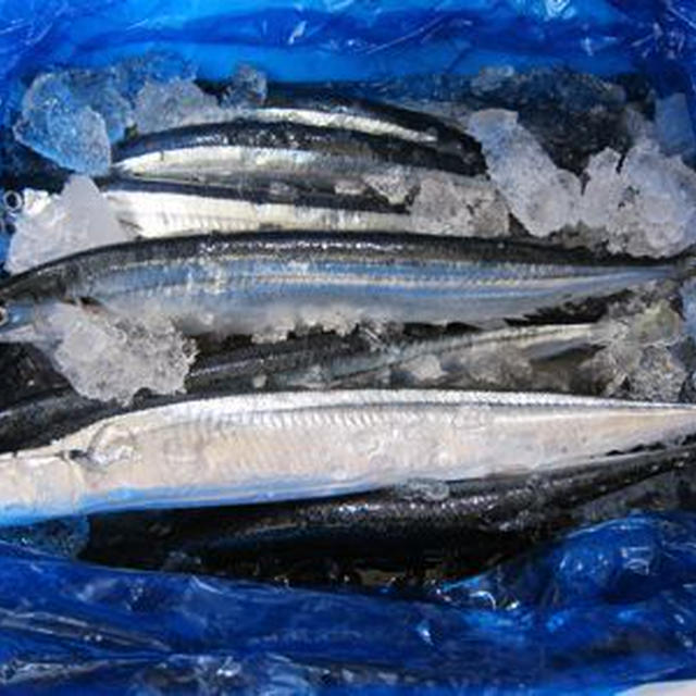 秋刀魚の刺し身に塩麹〜♪
