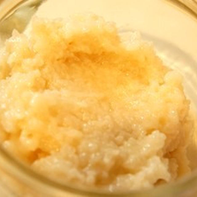 塩麹に続け、万能漬け床三五八漬けも、お釜　de PONの炊飯器クッキング