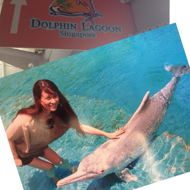 ピンクのイルカ★セントーサ島の水族館にて。。。