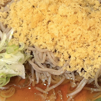 立ち蕎麦行脚「笠置そば東新宿店の冷したぬきそば」